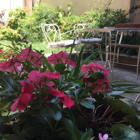 贝尔塔格尼住宿加早餐旅馆 住宿加早餐酒店